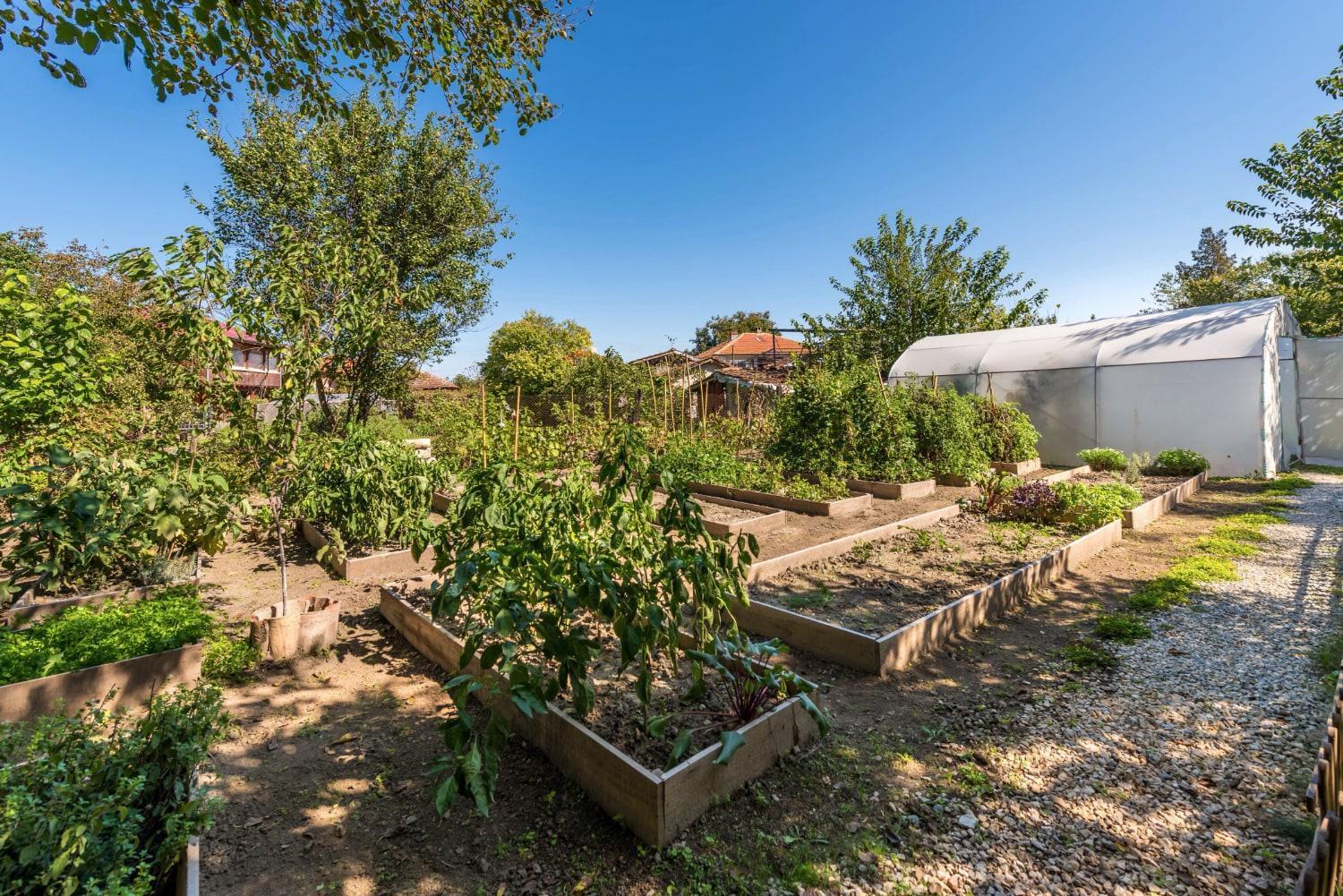 Villa Viara Pchelnik  Buitenkant foto