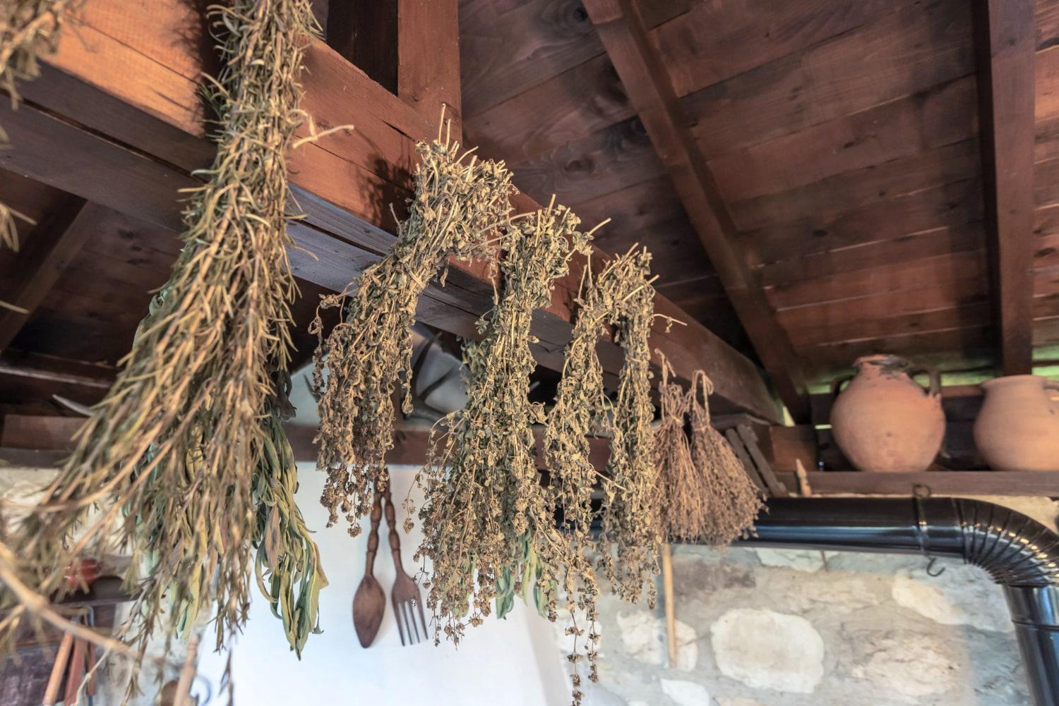 Villa Viara Pchelnik  Buitenkant foto